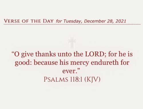 503DA347-34CD-462E-B954-12F6B15469D0