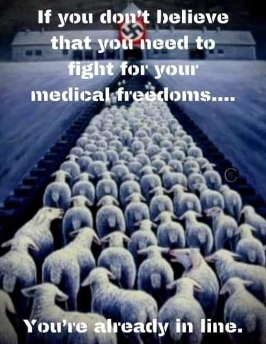 FB_IMG_1640087923832