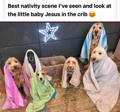 269697260_10224278904234322_2648362859596901012_n