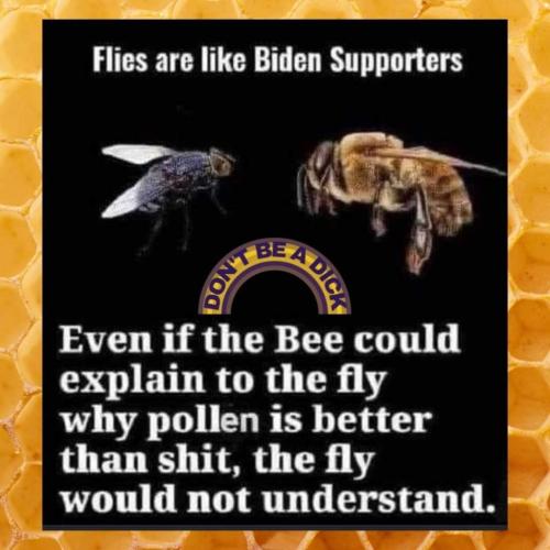 FB_IMG_1640699999227