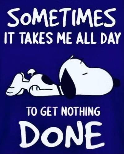 269927088_4894368087288704_8306761815777051165_n