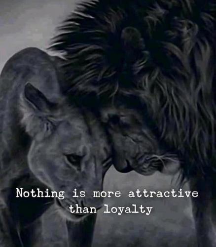 1-Loyalty