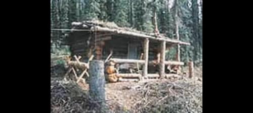 263758458_443141090585316_5103696341863079136_n