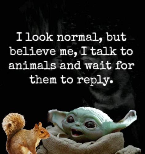 FB_IMG_1640526945906