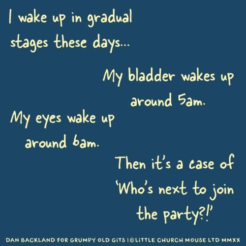 FB_IMG_1639407468699