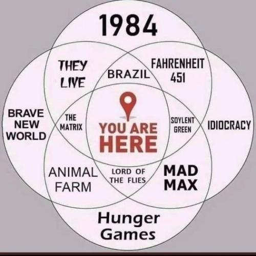 you are here