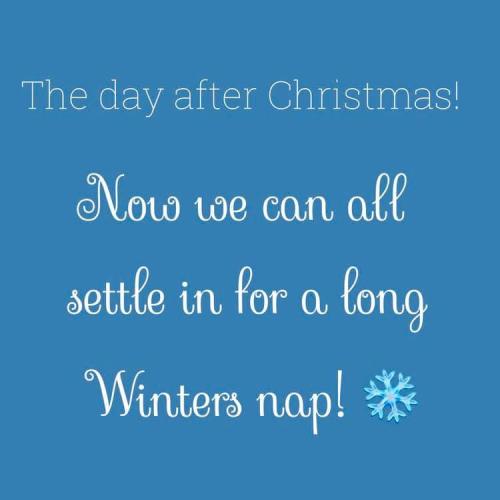 269703712_1817203778480692_3171958934390282123_n