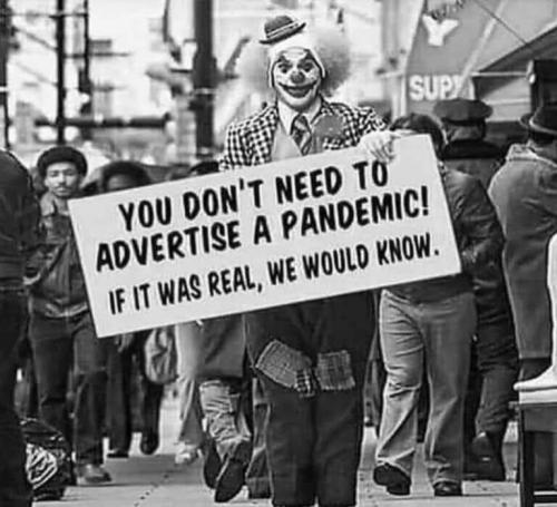 image_1640431095.775