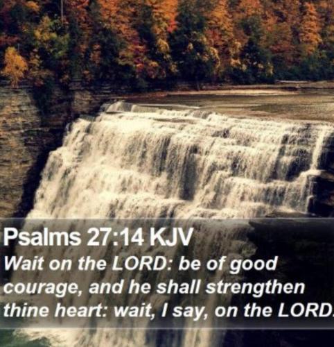 Screenshot_20211211_102602