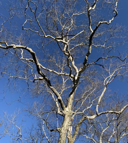 4911EFF3-0577-4763-AF00-E9CC591205F3