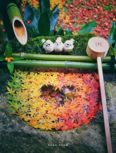 265713059_5137636606265821_8035079344860653629_n