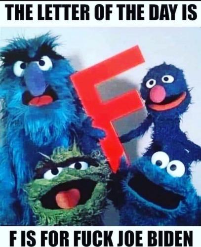 image_1638319920.405