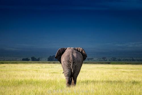 258815403_3042141546033749_114240764180483479_n