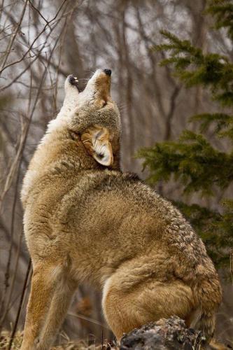 267891513_1731700800362596_4312966457355386039_n