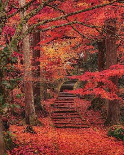 262352782_444020573760617_4683581302437579575_n