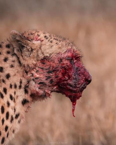 tumblr_2506b8c120720ffedb86595a197aa4c5_37639afd_540