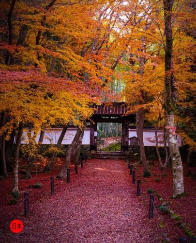 267162301_6580010795403917_4891256533827896390_n