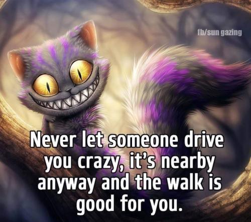 FB_IMG_1639553818648