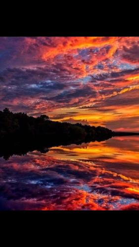 Screenshot_20211001-191312_Wimkin Uncensored