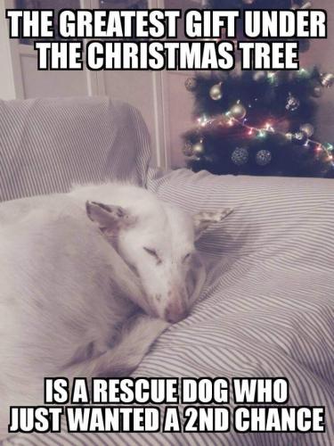 FB_IMG_1640098302461