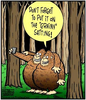 6158760d373c1b76ae02ceb5596fb7c5--free-range-comic-strips