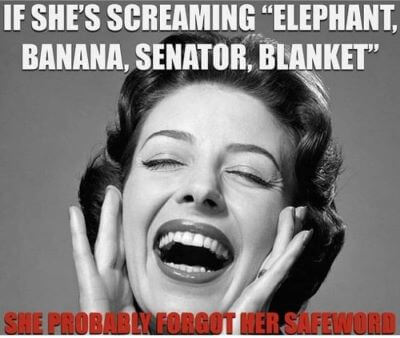 inappropriate_meme_safe_word