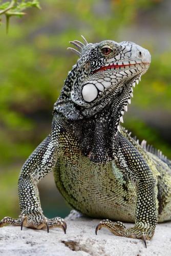 271060193_1734455720087104_7841480371940811028_n