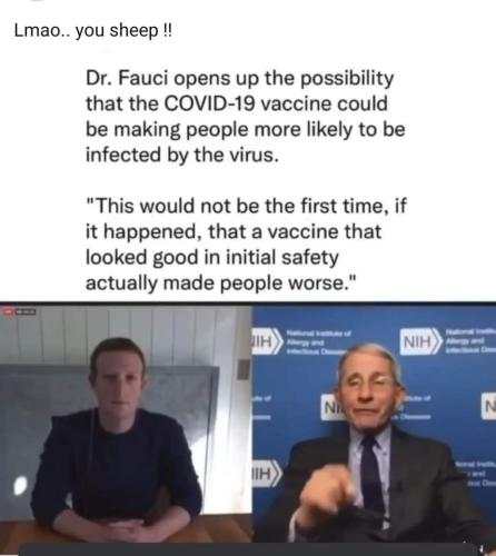 FB_IMG_1639783711884