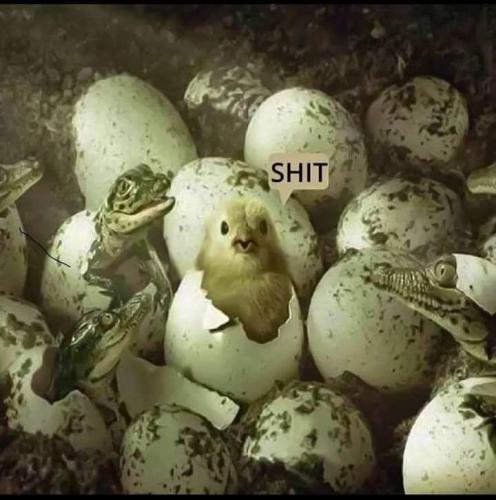 FB_IMG_1639093196166