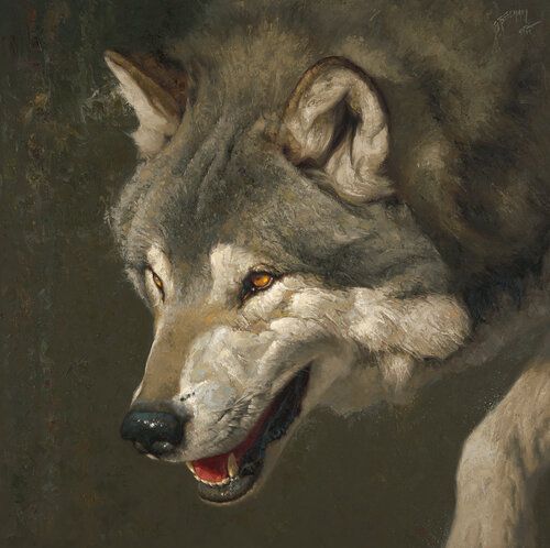 7bb0b9def51b74813d85ab34abbc98c1