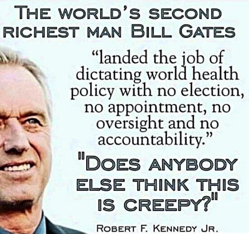 image_1640699249.882