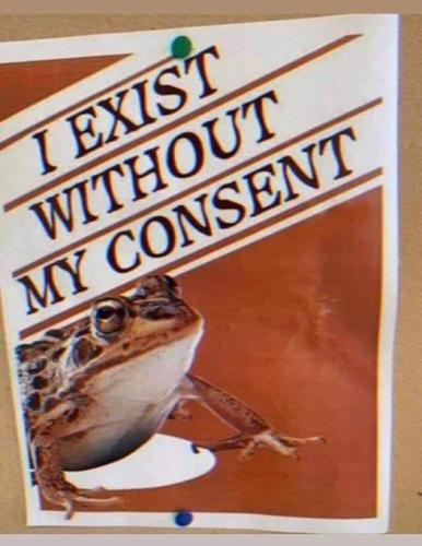 79084227_2591457277635882_2861978421494284288_n