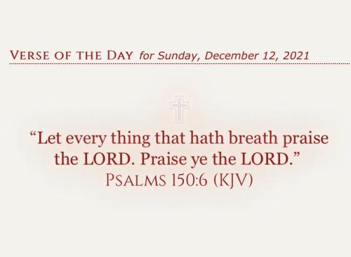 435A6645-5AB6-4B0A-8396-3E8D02326332