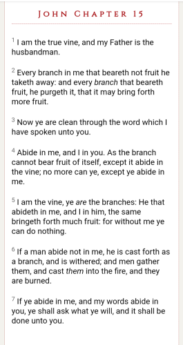 Screenshot_20211215-093508