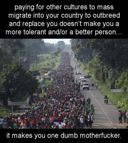 illegal immigration264