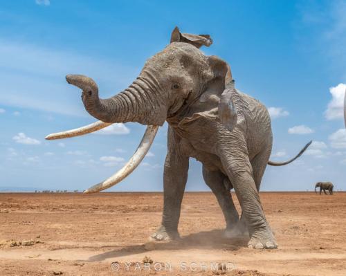 265061594_3051829218398315_5745265795540883445_n