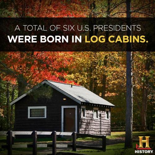 10509635_10152055318666184_5090583272454713582_n