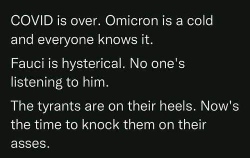 FB_IMG_1640725758077