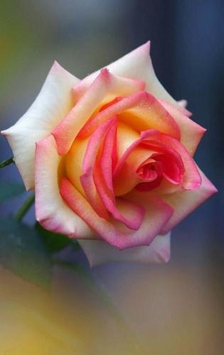 21:30:18 GMT-0600 (CST)