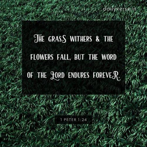 09:10:20 GMT-0500 (EST)