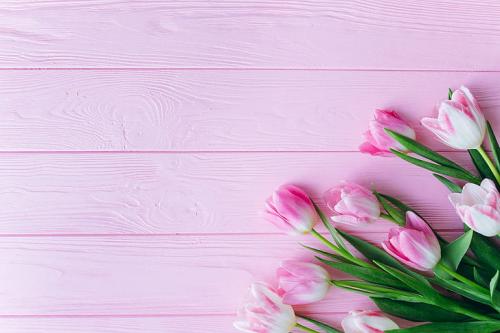 flowers-pink-tulips-wooden-background-hd-wallpaper-preview