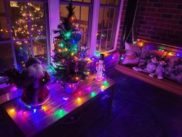 262803075_4997736713571407_2963537741485606478_n