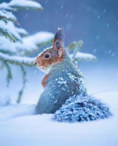 tumblr_76f03eb5cc59e7a01d00f43f0e03d68e_4e7cd102_500