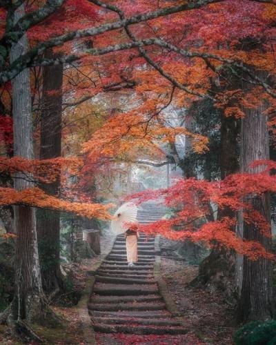 263476946_437328494776029_6540443664214156972_n