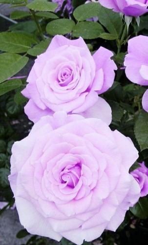 10:34:18 GMT-0600 (CST)