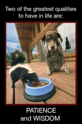 tumblr_1a5cc73140d5c7cb29269159c0ce9b58_62f8282c_540