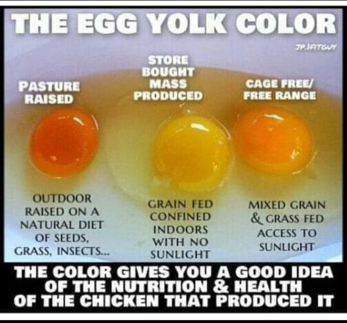 263272255_229692495943292_7803960251571815266_n