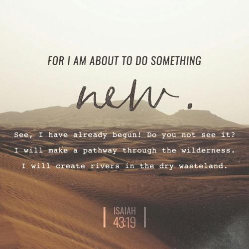 10:24:46 GMT-0800