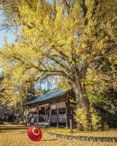 259751001_3096820997255781_7886412261291244579_n