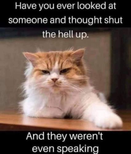 FB_IMG_1640219536285